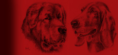 header image 2